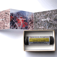 Stephen Turner, Pastel Stick No 2, from found flotsam in box, 110mm x 75mm x 40mm, 2013