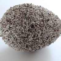 Stephen Turner, egg made from Mollusc shells, 2014